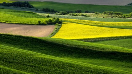 Fototapeta premium Vibrant Patchwork of Lush Agricultural Fields Creating a Colorful Mosaic of Green and Yellow : Generative AI