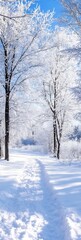 Fototapeta premium Peaceful Winter Scene with Snowy Pathway and Frost Covered Trees Under Blue Sky : Generative AI