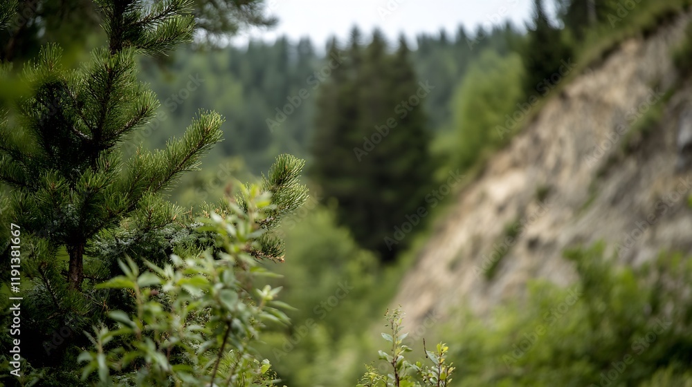 Poster Dense Forest with Pine Trees and Hills in Tranquil Natural Setting : Generative AI