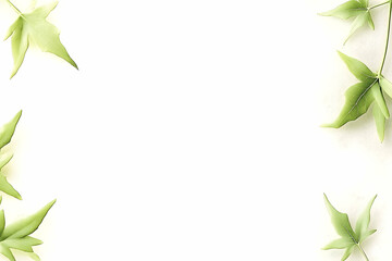 Fototapeta premium Green leaves frame on white background; nature design for invitation or website