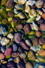 Colorful Riverbed Stones Beneath Clear Water with Mossy Accents