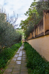Lush Garden Pathway With Stone Wall and Green Foliage in a Serene Setting