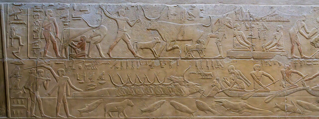 Everday life illustrated in carvings on walls of the tomb of Kagemni, Vizier to King Teti, in the Necropolis of Sakkara