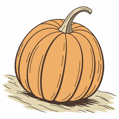 pumpkin isolated on white background