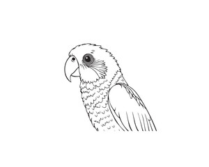 Parrot Bird line art vector illustration, of minimalist style on a white background.