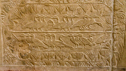 Ducks and geese carved on walls of the tomb of Kagemni, Vizier to King Teti, in the Necropolis of Sakkara © steheap