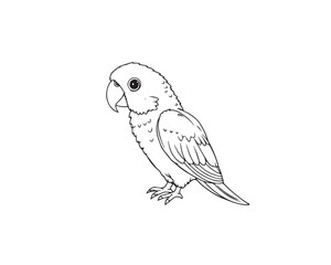 Parrot Bird line art vector illustration, of minimalist style on a white background.