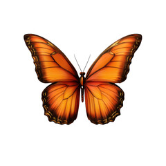 3D illustration of a butterfly in bright orange, highlighting detailed wing patterns and textures. Portray a colorful and natural insect in a vibrant style. Isolated on transparent background, png.