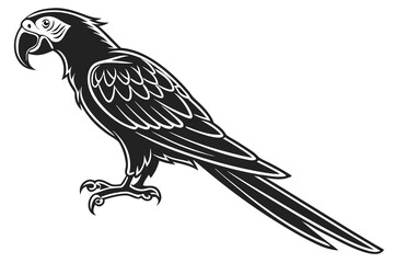A black Macaw vector silhouette design isolated on a white background 