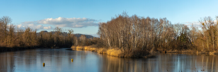 Panorama with Sunset on the Old Rhine with illuminated reeds and bushes on the shore of the lake, sun star and sunset red, impressive colors between autumn and winter