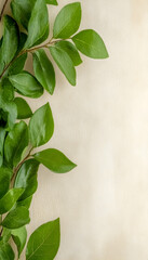 Lush green leaves frame a beige background; ideal for invitations or blogs