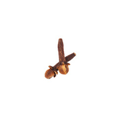 Dry spice cloves isolated on white background