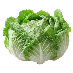 Fresh green napa cabbage whole head isolated transparent background vegetable healthy food