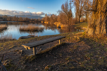 Wooden park bench in Sunset on the Old Rhine with illuminated reeds and bushes on the shore of the lake, sun star and sunset red, impressive colors between autumn and winter