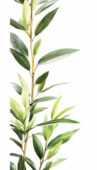 Lush green plant branch with vibrant leaves against a white background; perfect for nature-themed designs and website backgrounds