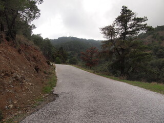 Sierra de las Nieves National Park (Tolox, Province of Málaga, Andalusia, Kingdom of Spain)