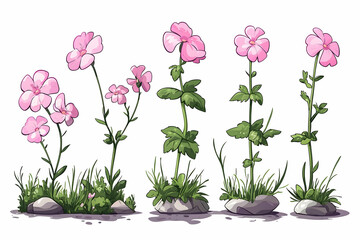 Charming Hand-Drawn Pink Flowers with Green Leaves Growing on Rocks