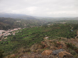 Fototapeta premium Sierra de las Nieves National Park (Tolox, Province of Málaga, Andalusia, Kingdom of Spain)