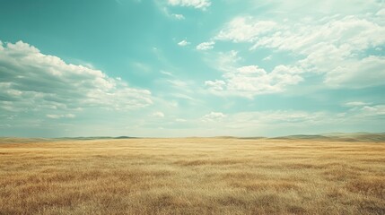 Golden Wheat Field Under a Summer Sky