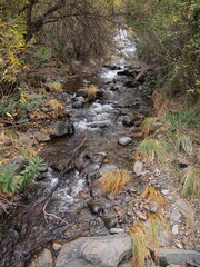 Río de los Caballos (Tolox, Province of Málaga, Andalusia, Kingdom of Spain)
