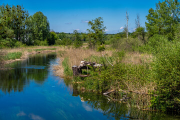 Mündung der Würm aus dem Starnberger See ins Leutstettner Moos