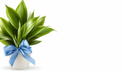 Fototapeta premium Potted plant with blue ribbon, white background; ideal for websites, blogs, or greeting cards