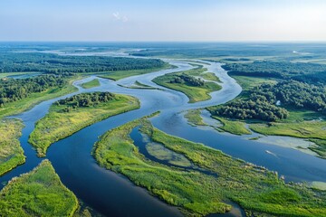 Winding river flows through lush greenery, showcasing nature's s
