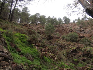 Fototapeta premium Tolox (Province of Málaga, Andalusia, Kingdom of Spain)