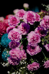 beautiful blue pink rose isolated with small plants for wedding or private party 