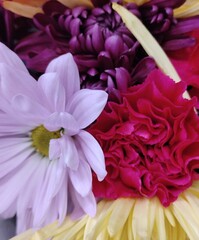 bouquet of pink flowers