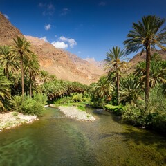 Obraz premium Generated image The lush, green oasis of the Ourika Valley, with rivers and palm trees set