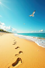 Footprints Yellow Sand With Seagulls