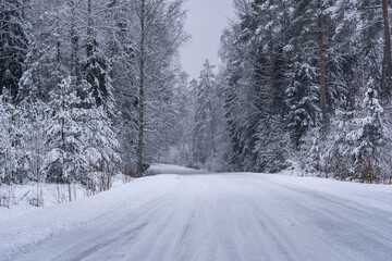 Snowy Forest Road in Winter Silence. Peaceful Winter Road Through Snowy Woods.