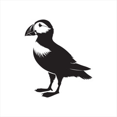 Puffin silhouette vector illustration clipart black color design and solid white background 