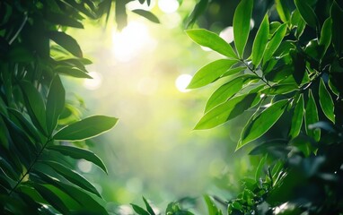 nature background