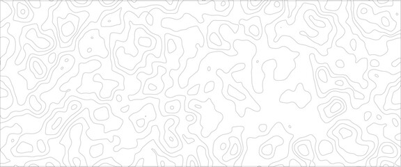 Abstract Vector geography landscape Topo contour map on white background, Topographic contour lines. Seamless pattern with lines Topographic map.