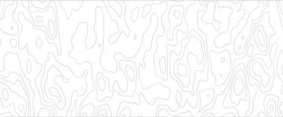 Vector black wave curve Topography grid map. white wave line geography landscape Topo contour map on white background. 