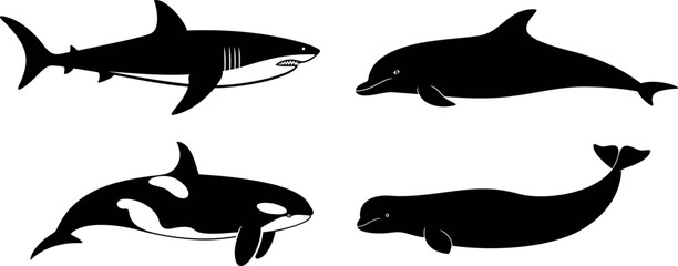 Killer Whale logo. Isolated killer whale on white background