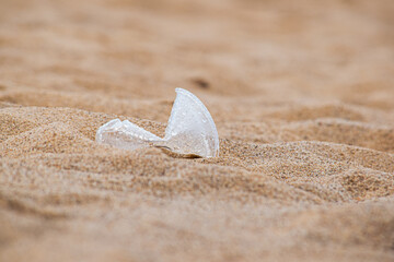 Single use plastic litter