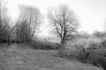 Winter garden