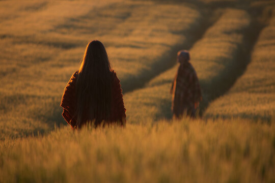 Walk In Field