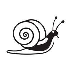 snail on a white background