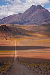 Entorno del desierto de Atacama y lagunas Altiplánicas
