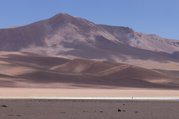 Entorno del desierto de Atacama y lagunas Altiplánicas
