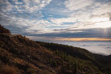 Road through trees on mountain with sky