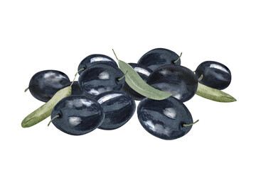 Olive branch, green and black olive berries, background image. Hand drawn watercolor illustration. Green and black olive berries, leaves and twigs.