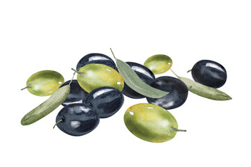 Olive branch, green and black olive berries, background image. Hand drawn watercolor illustration. Green and black olive berries, leaves and twigs.