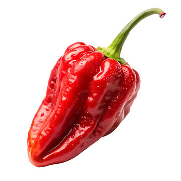 fresh red ghost pepper, naga chili isolated on transparent background, png
