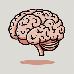 human brain organ vector illustration
