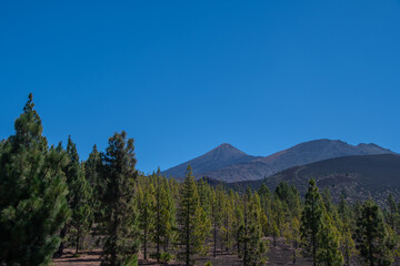 Obraz premium The viewpoint 